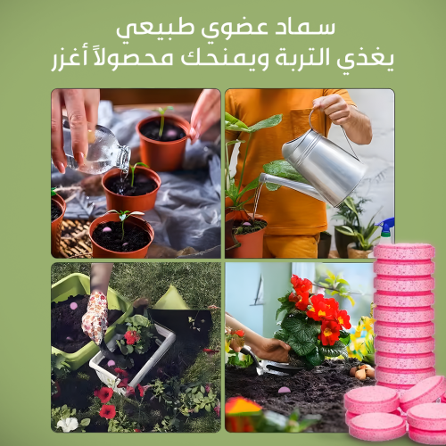 Organic-fertilizer-tablets-Mo-3-r1pf9vqd1xsrjqlzu5f2euztshri0ormlp8hm4jds8