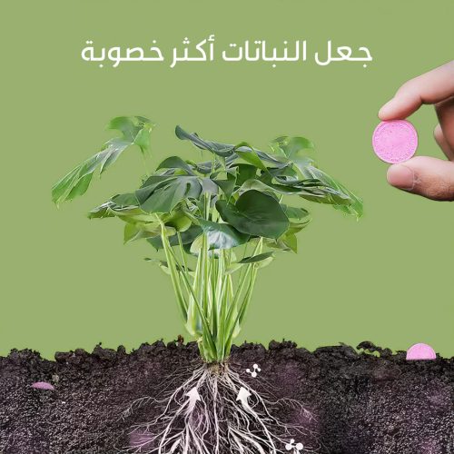Organic-fertilizer-tablets-Mo-4_-r1pfb2yxsbfydsv6to3wlk3147udurja3n8tour9u0